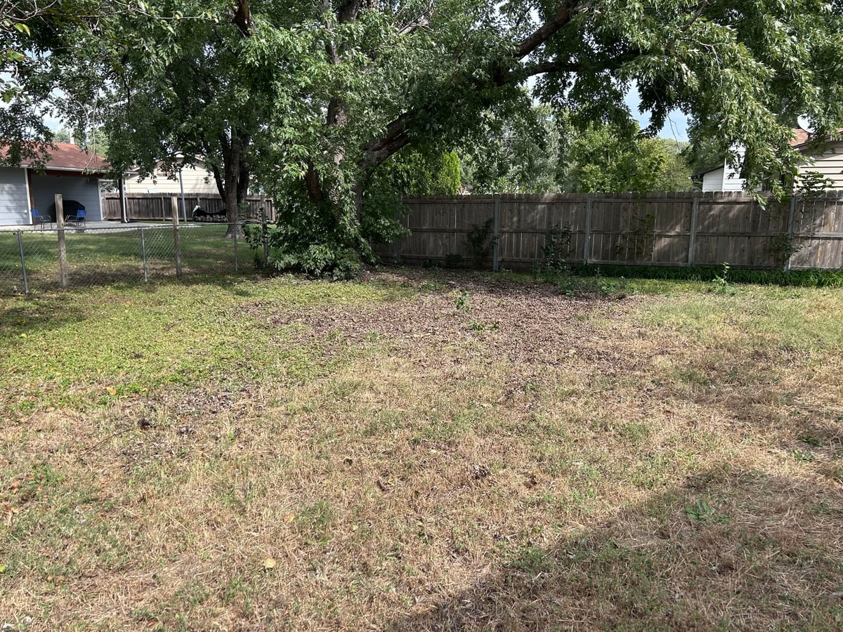 After — junk removal job 3