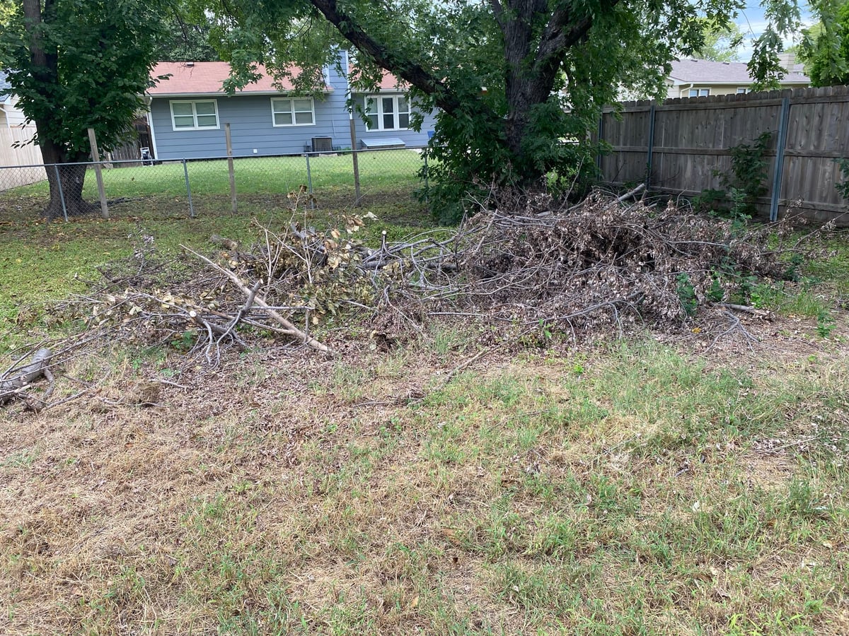 Before — junk removal job 3