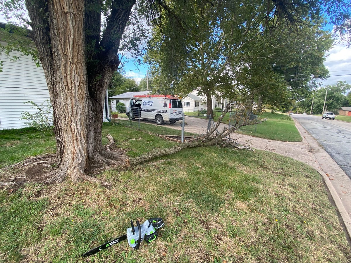 Before — junk removal job 5